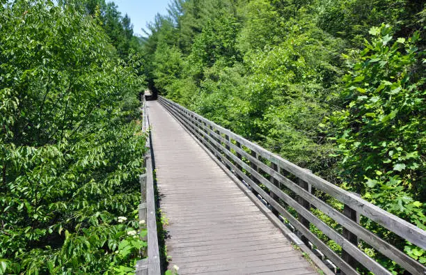 Long wooden train tressel bridge on the popular Virginia Creeper Trail in the state of Virginia, United States.