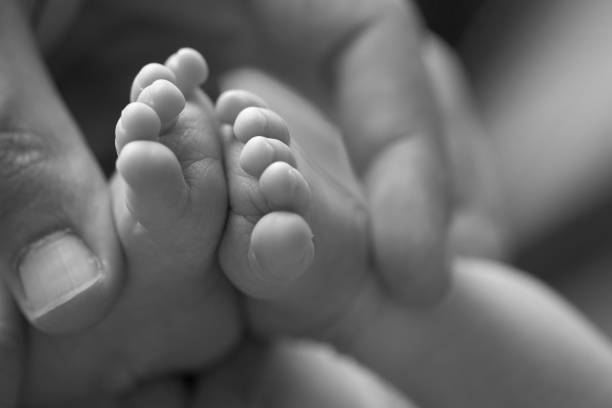 かわいい女の赤ちゃんの足 - human foot baby black and white newborn ストックフォトと画像