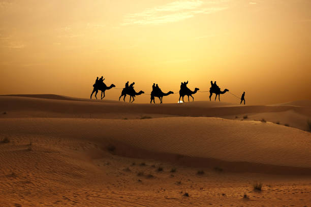 istock Sunset in desert with camel caravan silhouette on sand dunes 1149499892