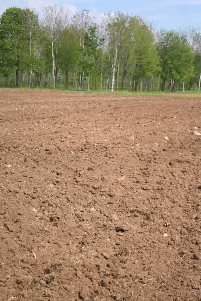 istock Plowed agricultural field in springtime. 1149500931