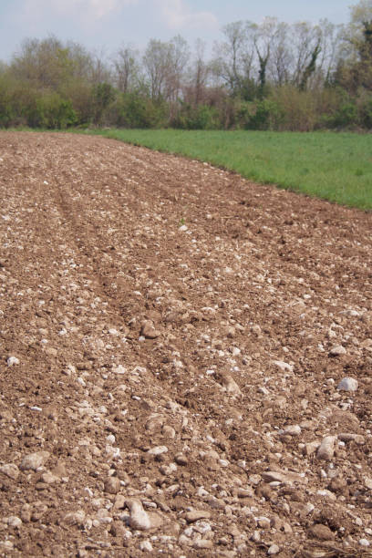 istock Plowed agricultural field in springtime. 1149501071