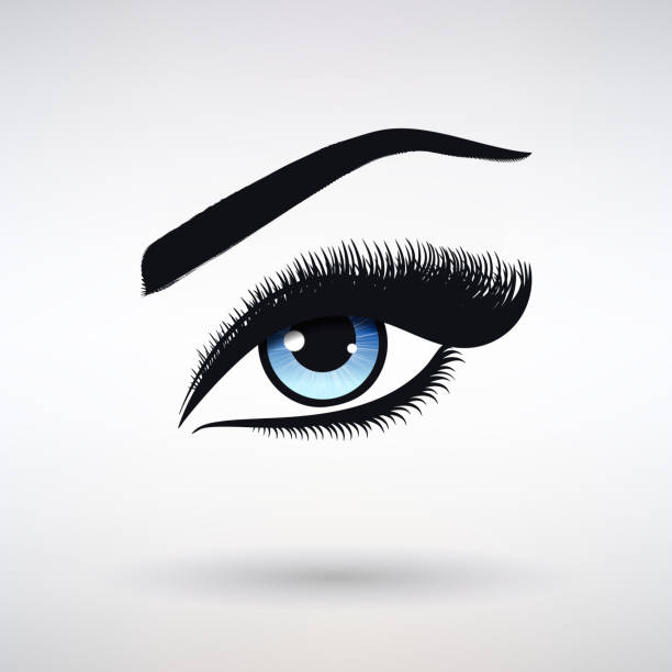파란 아이리스와 긴 속눈썹을 가진 여성 눈 - make up stage makeup human eye blue stock illustrations