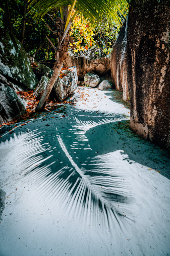 Walking path between big granite boulders on Anse Source D Argent, La Digue island Seychelles. Contrast shadow of palm leaf on the ground. Vacation travel concept.
