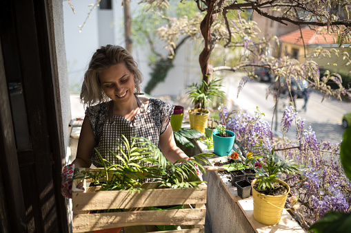 Young woman holds planted young plants in box