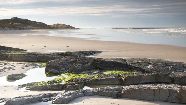 istock Beach Northumberland 1149513393