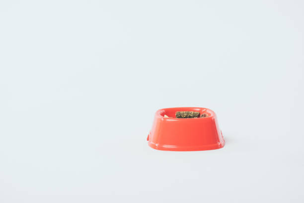 plastic orange bowl with dry pet food on grey background with copy space