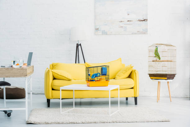 istock spacious, light living room with yellow sofa near white brick wall 1149517835