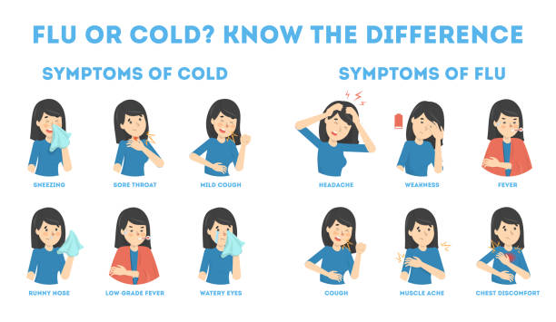 Cold and flu symptoms infographic Cold and flu symptoms infographic. Fever and cough, sore throat. Idea of medical treatment and healthcare. Difference between flu and cold. Flat vector illustration cold and flu stock illustrations