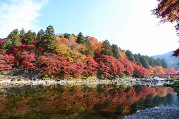 istock Beautiful Autumn Landscape in Japan 1149525145
