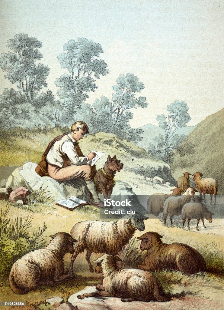 Shepherd inmidst herd writing his diary Illustration from 19th century Writing - Activity stock illustration