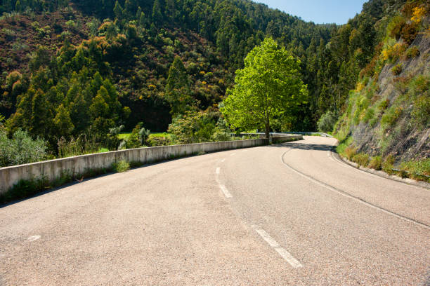 istock Road in Portugal 1149530301