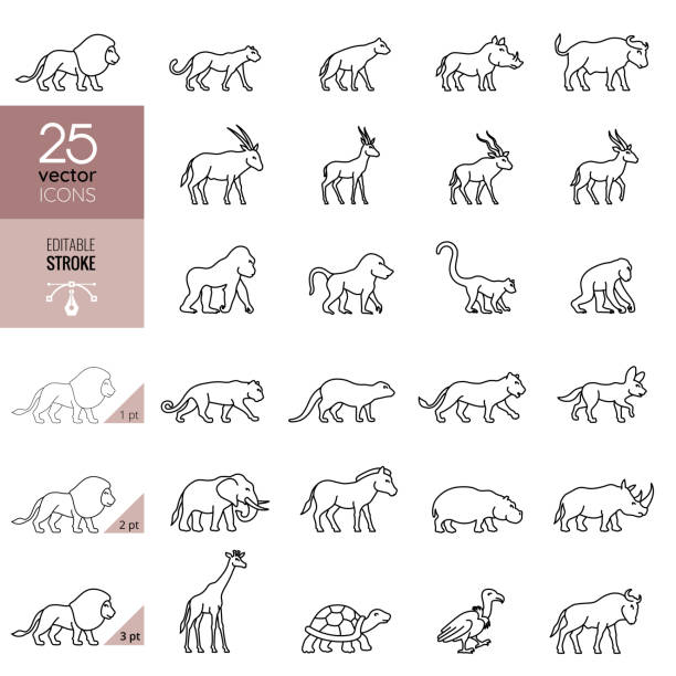 아프리카 동물 아이콘 세트입니다. 편집 가능한 스트로크. - elephant animal isolated white background stock illustrations