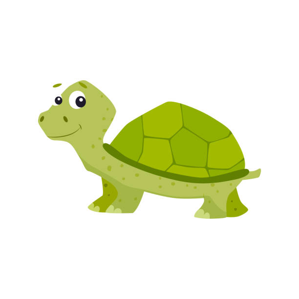 かわいいウミガメベクターイラスト。 - turtle backgrounds humor vector点のイラスト素材／クリップアート素材／マンガ素材／アイコン素材