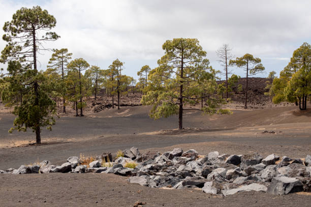 istock Panoramic landscape of the volcanic area 1149535930