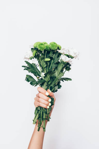 istock Close-up woman's hand holding fresh green bouquet 1149536116