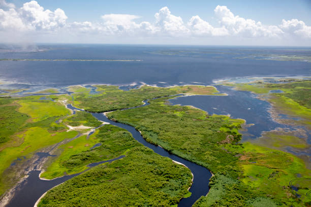 istock Aerial view Lake Okeechobee 1149539340