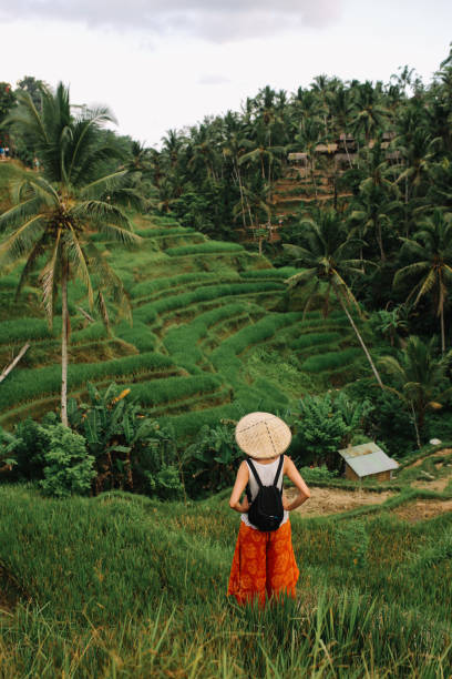 istock Beautiful nature in Bali, Indonesia 1149542489