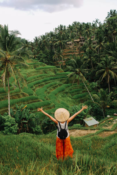 istock Amazing view over the rice fields in Indonesia 1149542708