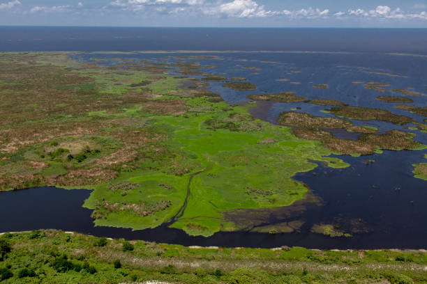 istock Aerial view Lake Okeechobee 1149542843