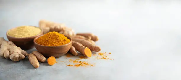 Turmeric and giger powder in wooden bowl and fresh turmeric root on grey concrete background. Banner with copy space.