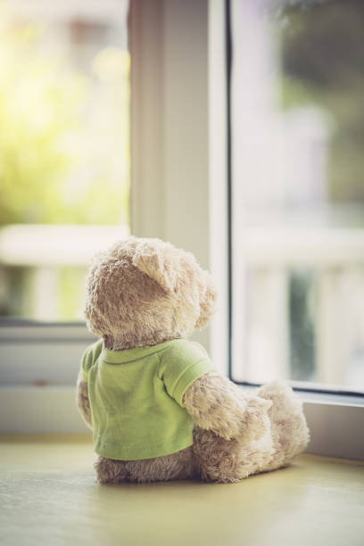 istock lonely doll bears near the window 1149547496
