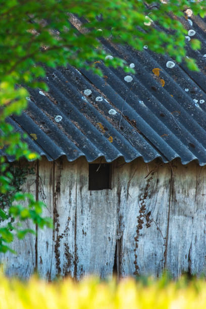 istock Old wooden barn in sunny corn field. 1149549914