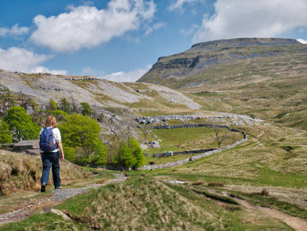 A single walker on the path by Crina Bottom, heading for Ingleborough, in the background, in the Yorkshire Dales, UK A single walker on the path by Crina Bottom, heading for Ingleborough, in the background, in the Yorkshire Dales, UK ingleborough stock pictures, royalty-free photos & images