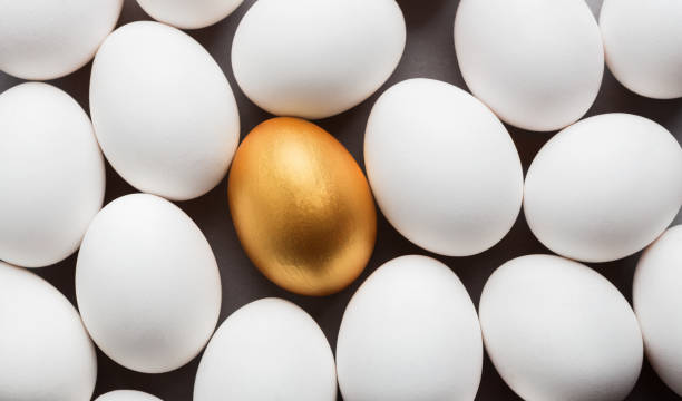 istock One golden egg among white eggs on gray background. 1149555877