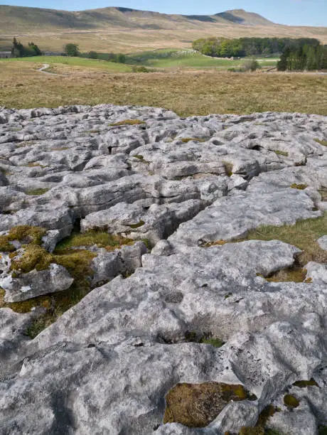 Limestone pavement - an area of limestone eroded by water - on Scales Moor in the Yorkshire Dales, UK, with Whernside in the background