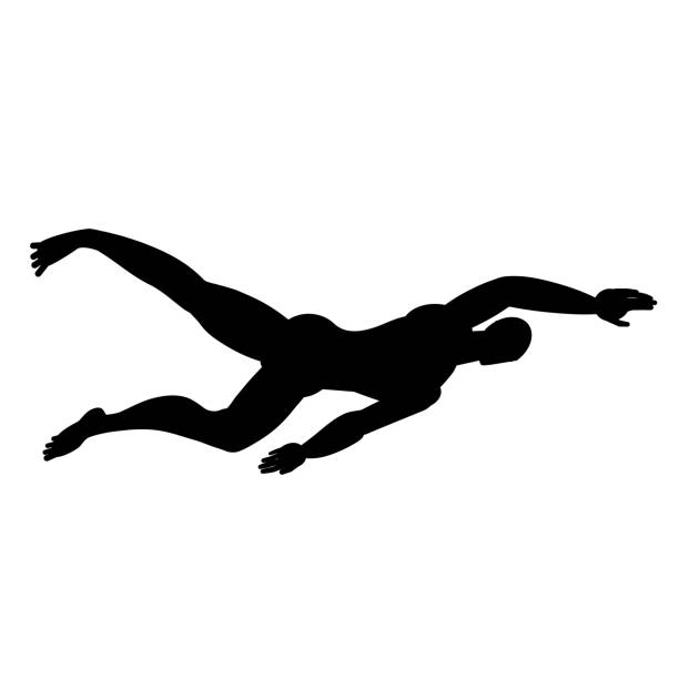 Silhouette of swimming sportsman   isolated on white background. Vector black and white illustration. Cutout object. Sports goods elements. Silhouette of swimming sportsman   isolated on white background. Vector black and white illustration. Cutout object. Sports goods elements. swimming silhouettes stock illustrations