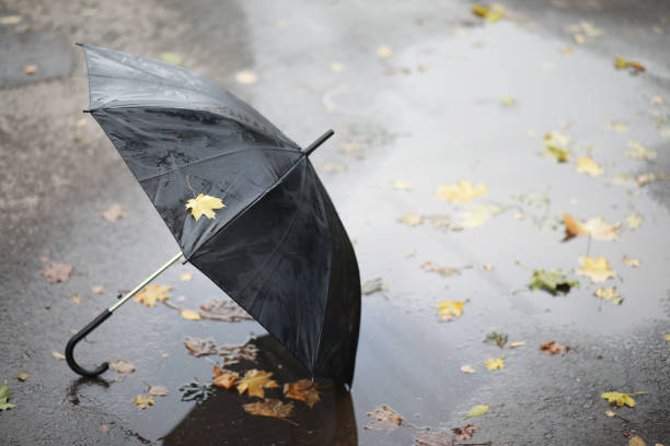 istock Autumn background in the park 1149562925