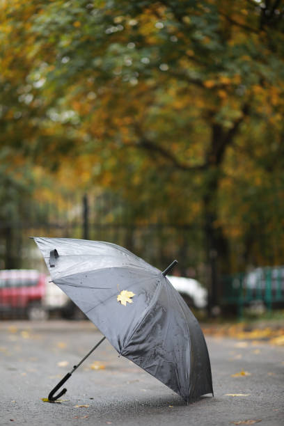 istock Autumn background in the park 1149563029