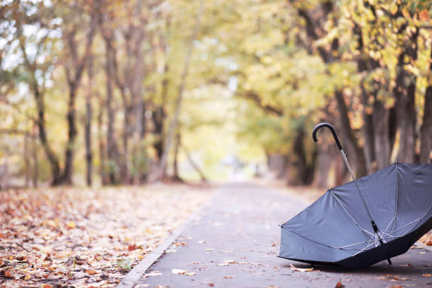 istock Autumn rainy park in October 1149563474