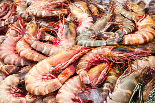 istock Catch of prawns lay on counter 1149563492