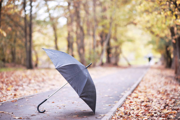 istock Autumn rainy park in October 1149563576