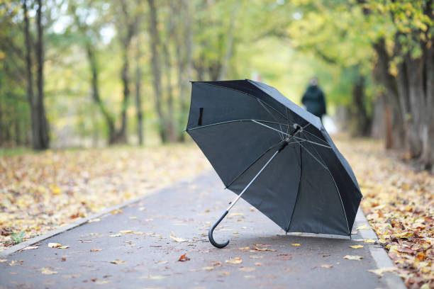 istock Autumn background in the park 1149563642