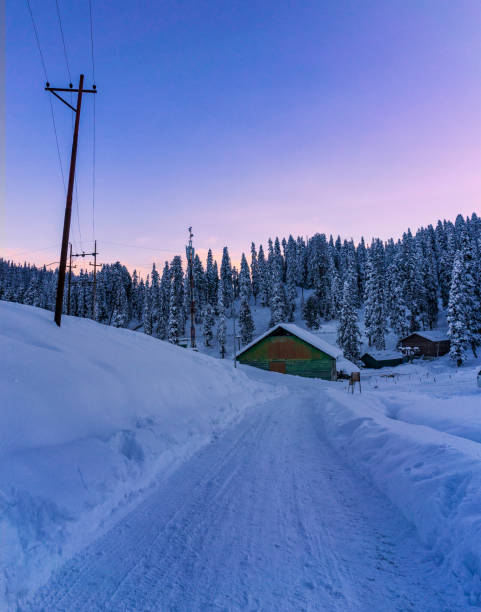 Beautiful scenery of snowy pine trees with Sunset at background Snow pine trees taken taken at Gulmarg, Jammu and Kashmir India jammu and kashmir photos stock pictures, royalty-free photos & images