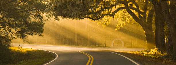 los rayos solares panorámicos brillan a través de robles en una carretera en savannah, georgia, ee. uu. - southern mansion fotografías e imágenes de stock