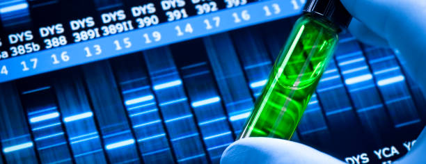 genetic code sequence in a medical science laboratory panoramic - dna research forensic science healthcare and medicine imagens e fotografias de stock