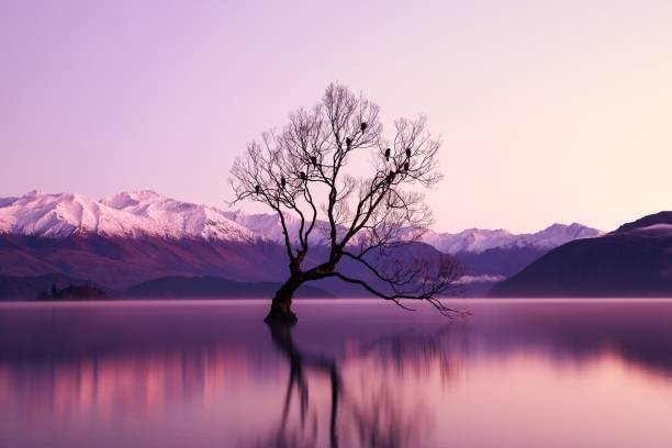 istock Tree and green plant and clear water 1149570938