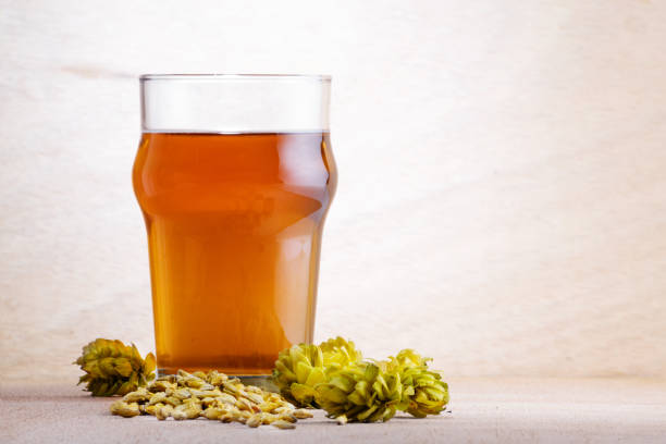Beer in a glass with barley and hops on light wooden background stock photo