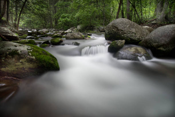 istock Shenandoah National Park - Appalachian Trail and Blue Ridge Mountains 1149571271