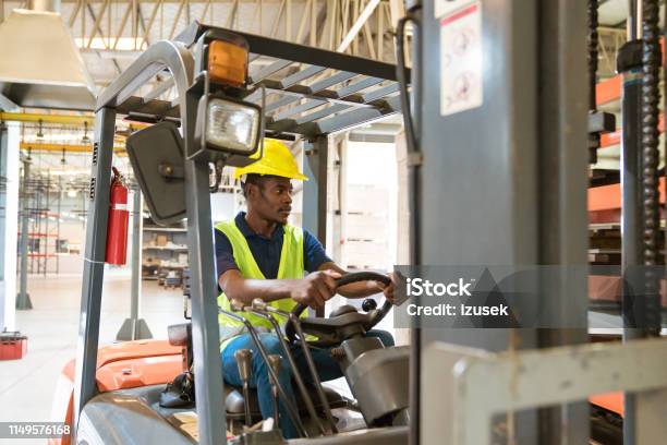 Male Driver Looking Away While Driving Forklift Stock Photo - Download Image Now - Forklift, 25-29 Years, Adult
