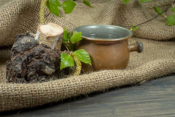 Twig with fresh green spring leaves and catkins displayed on an old vintage brass pot and chunk of textured bark sitting on sackcloth next to tree cut with dark burl growth, birch sap or water concept