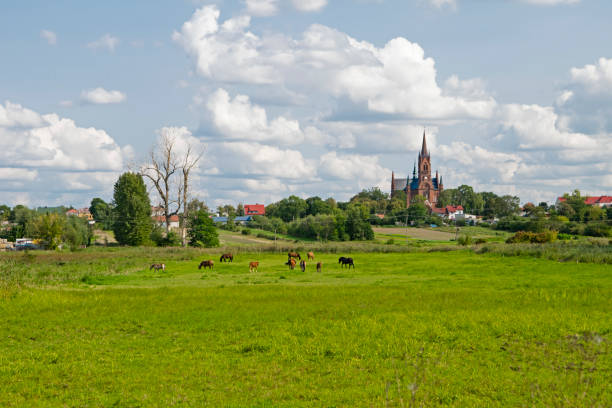 istock Polish village in a summer scenery 1149577323