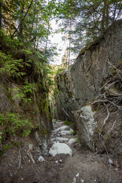 istock Footpath in bottom of small gorge 1149578441