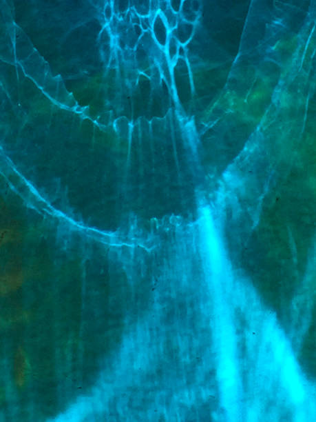 istock Abstract Colorful Fluid Organic Contrast Backgrounds 1149580790