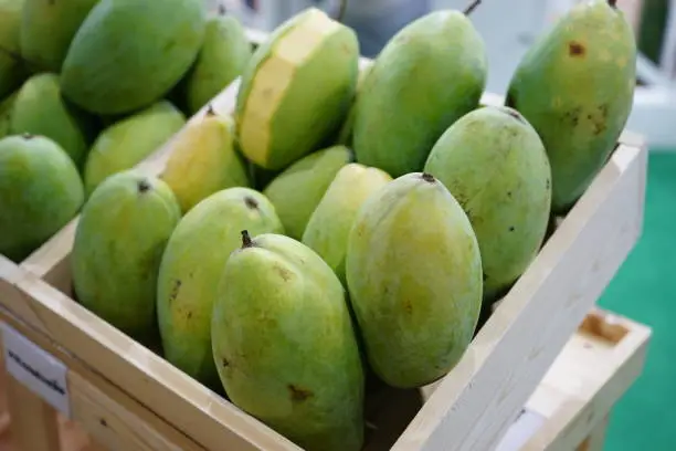 Photo of Thailand Green Mango