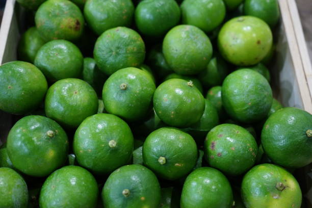 istock Lots of bright green limes 1149581707