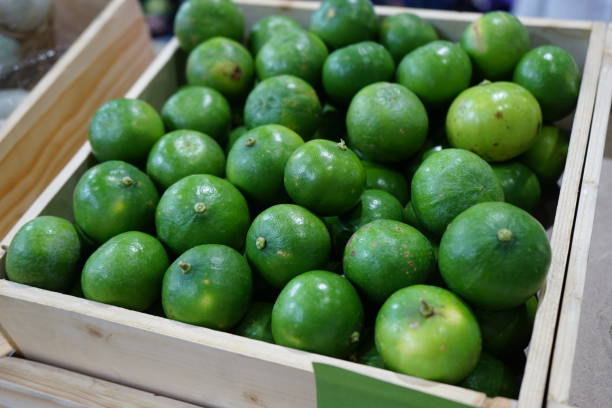 istock Lots of bright green limes 1149581725